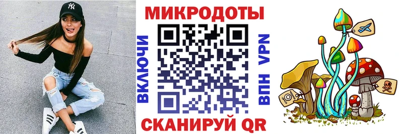 блэк спрут как зайти  как найти   Питкяранта  Псилоцибиновые грибы MAGIC MUSHROOMS 